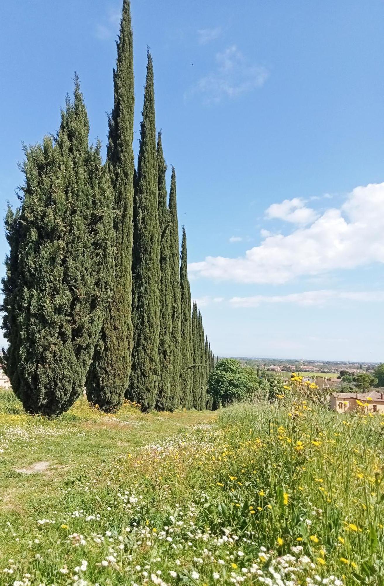 Appartement Casalice à SantʼArcangelo di Romagna Extérieur photo